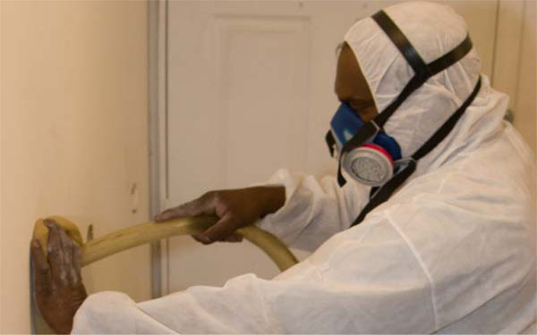 A CEC worker insulates a client's home.