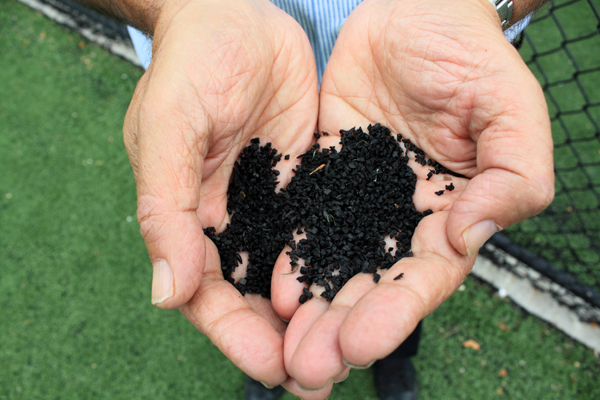 The city has dismissed worries about the health impact of turf, like those raised by CUNY professor Bill Crain, seen here holding rubber crumbs at Riverside Park. But many of the health questions surrounding turf remain unanswered.
