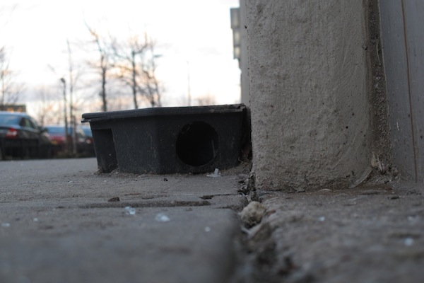 A final meal awaited rats in this bait station seen in early 2013 on Pacific Street not far from the Barclays Center.