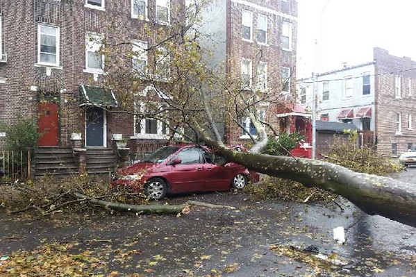 A downed tree at 1260 Wheeler Avenue between 172nd Street and Westchester Avenue took out a car and blocked the block.