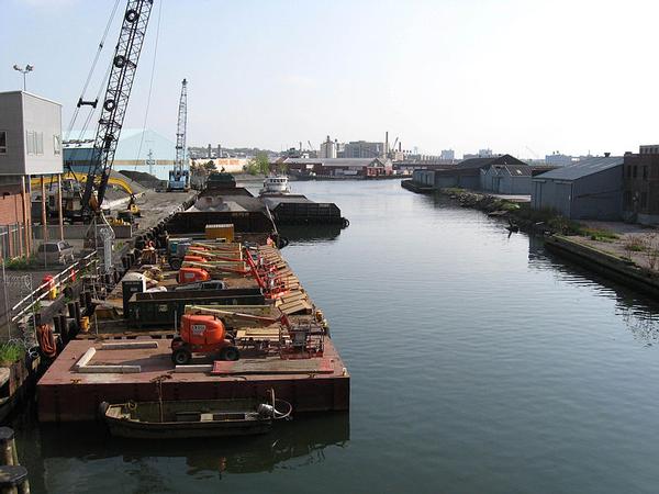 The Gowanus contains PCBs, PAHs and seven metals in concentrations that pose a risk to human health.