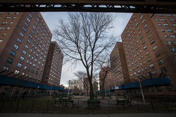 Some 18,000 Brownsville residents live in public housing, but no development is larger than Van Dyke 1, which boasts 22 buildings and more than 4,000 residents.